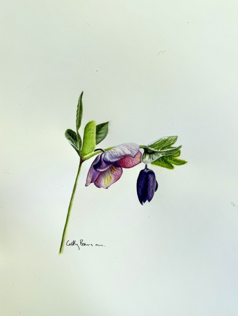 Artwork by Cathy Branson