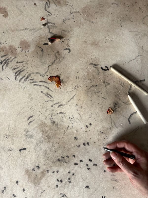 Art work by Ellen Lee