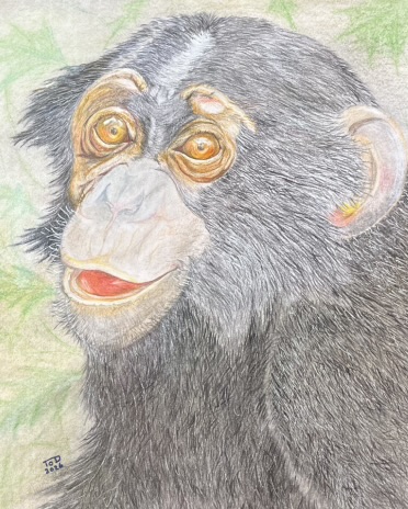 Work by Trevor Davison