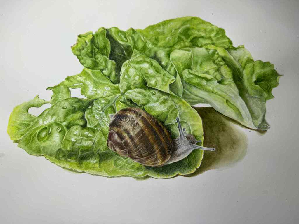 Art by Cathy Branson