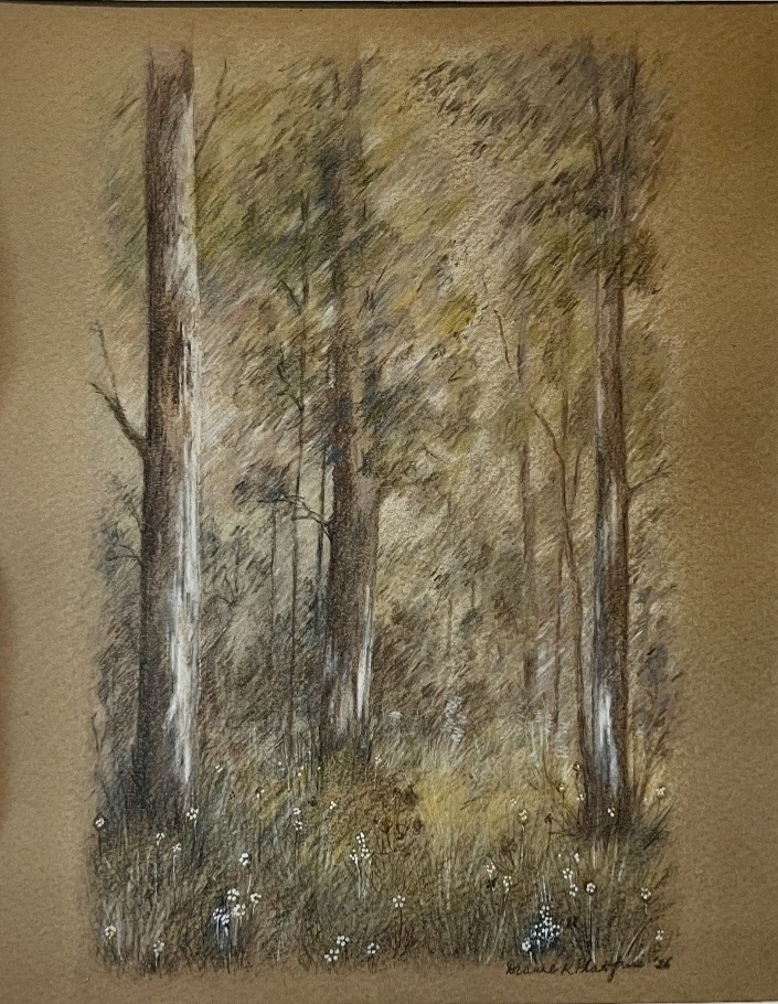 Art work by Dianne Plattfuss