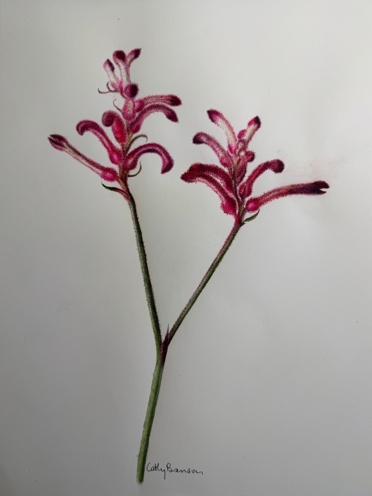 Art by Cathy Branson