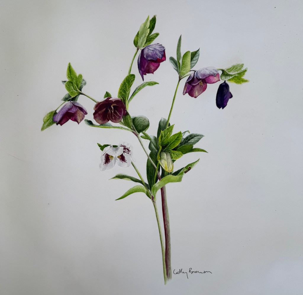 Art by Cathy Branson