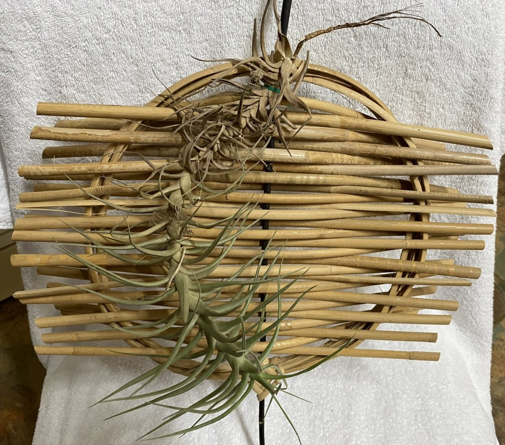 Fibre art by Margaret Wilson